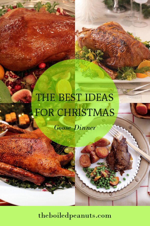 The Best Ideas for Christmas Goose Dinner - Home, Family, Style and Art ...